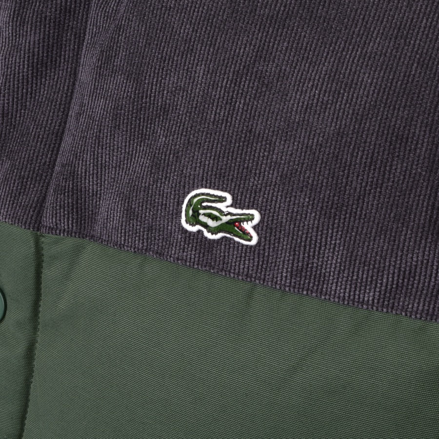 Alternative Image for ProductLacoste Live Logo Gilet Green3